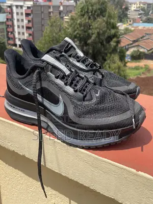 Nike Pegasus Premium