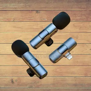 Reliable Performance Mini Lapel Lavalier Dual Wireless Microphone