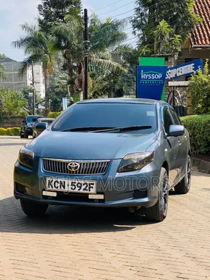 Toyota Axio 2009 Gray