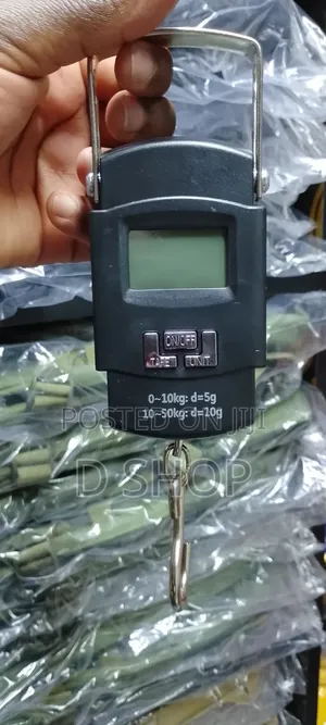 Portable Electronic Weighing Scale