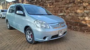 Toyota Raum 2006 Gray