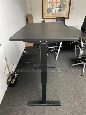 Ergonomic Lifting Sit Stand Desk-160cm