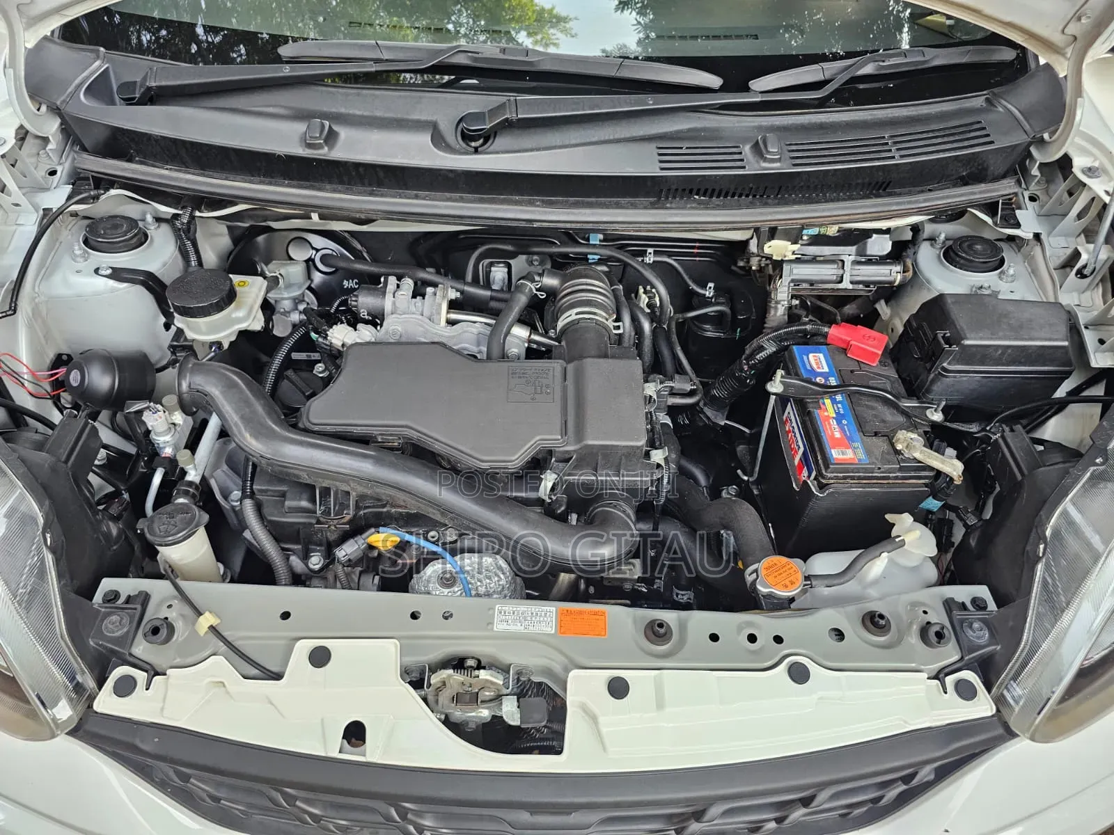 Toyota Passo 2017 White