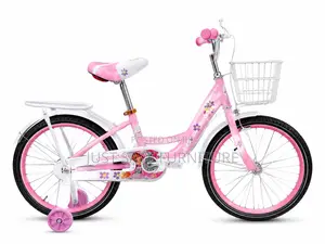 CrossRoad 20-Inch Girls Bicycle With Basket Training Wheels