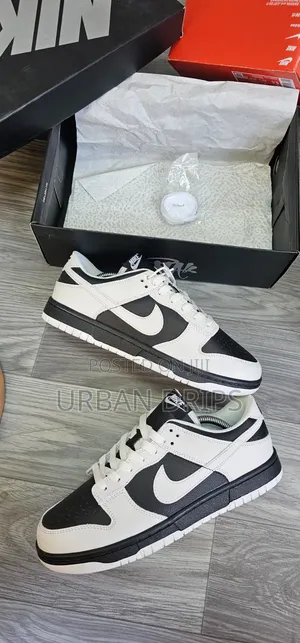Sb Dunks × Air Jordan