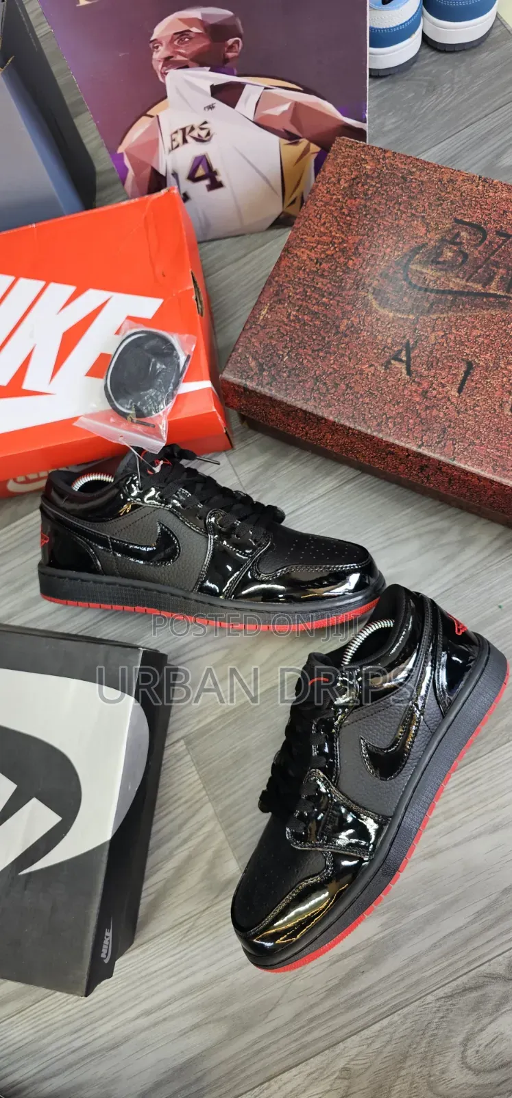 Sb Dunks × Air Jordan