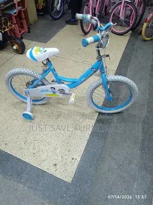 20-Inch Phoenix Bicycle With Training Wheels