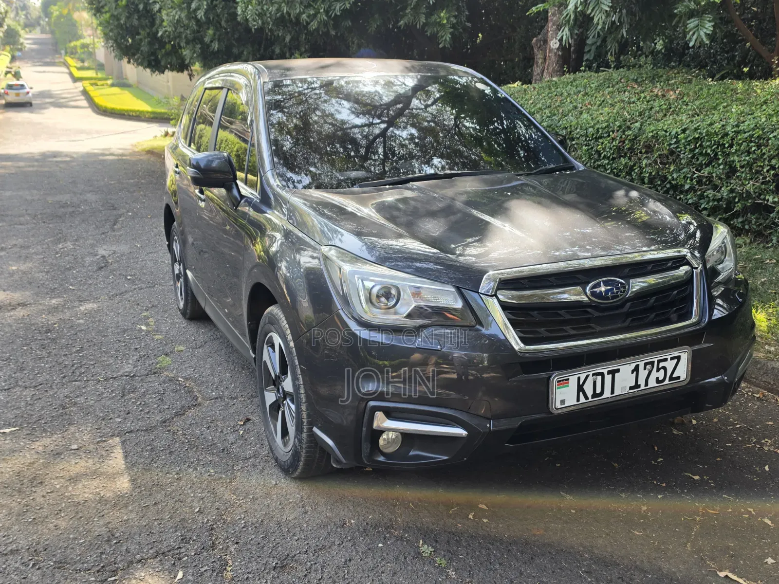 Subaru Forester 2016 Gray