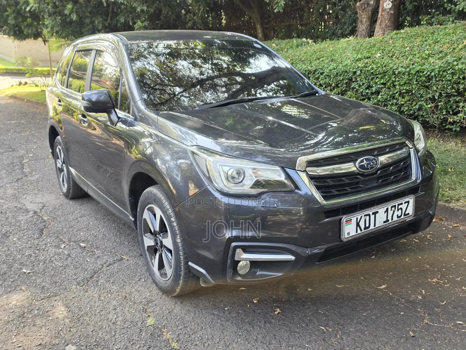 Subaru Forester 2016 Gray