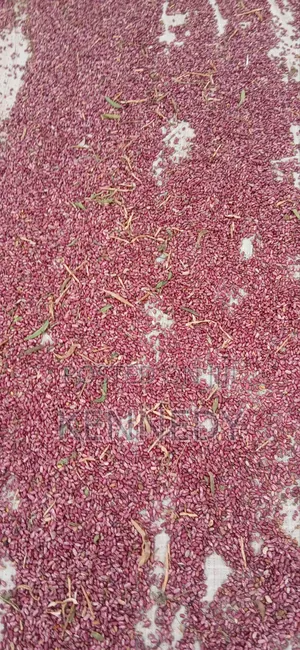 Kennice Cereal and Legumes