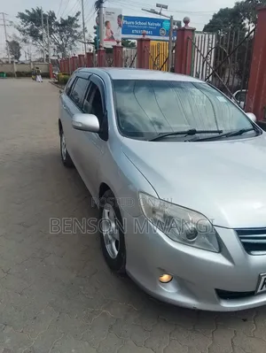 Toyota Corolla Fielder 2009 Gray