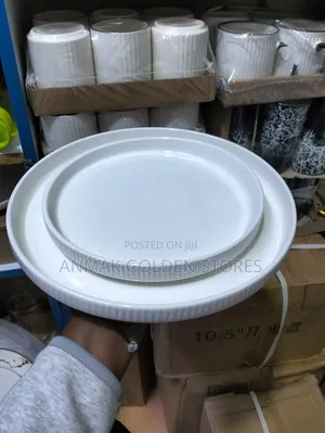 6pcs Dinner Plates
