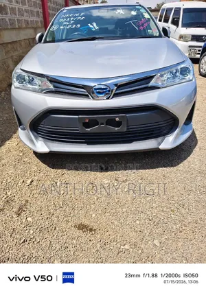 Toyota Corolla Fielder 2020 Silver