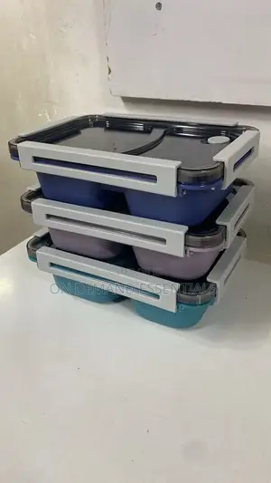 *2-Compartment, 2-Grid Bento Lunch Box With Spoon, Leak-Proof