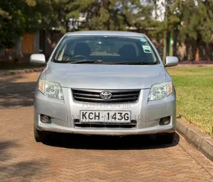 Toyota Axio 2009 Silver
