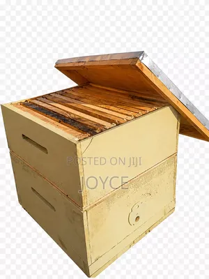 Langstroth Bee Hive