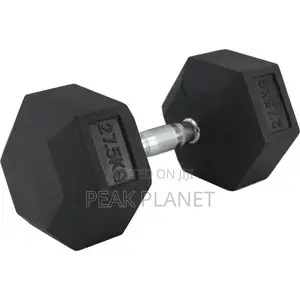 Rubber Coated Hex Dumbbells – Strong Gym Weights