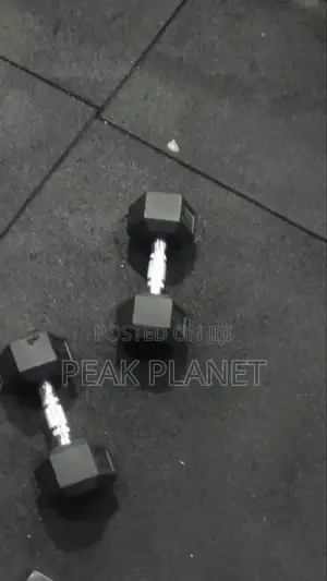 Gym Dumbbells Set – Hex Design Anti-Roll