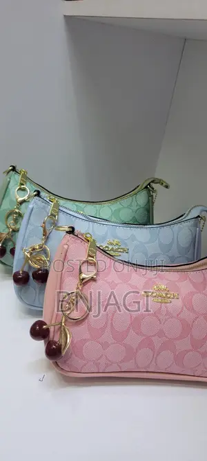 Coach Teri Bag