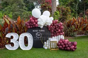 Balloon Decor