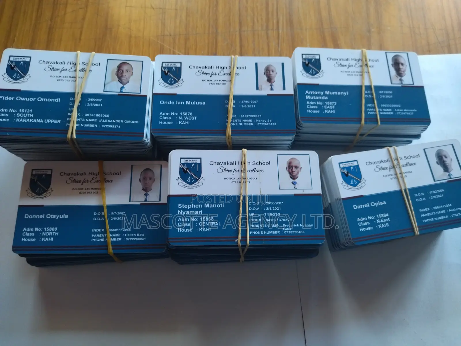 Job ID Cards/School ID