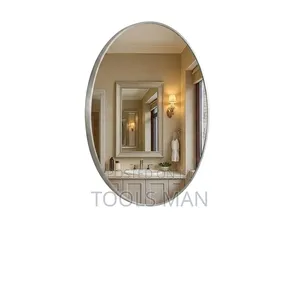 Modern Oval Wall Mirror - Brushed Silver Aluminum Frame.