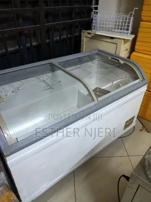 Display Freezer 500litres