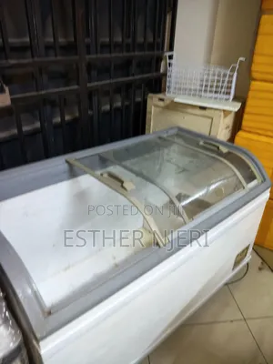 Display Freezer 500litres