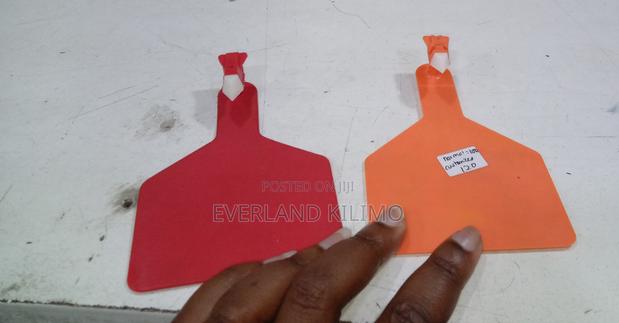 Colored Plain Z Tags for Cattles