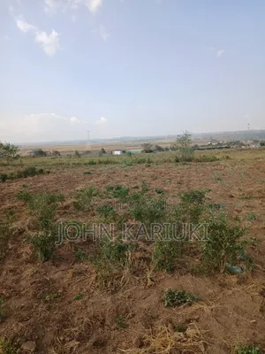 100x100 Plot in Naivasha Mirera Near Catholic Church and Adas BNBS