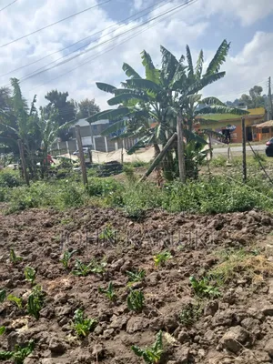 50x100 Plot in Naivasha Nyondia Touching the Tarmac Good for Develop