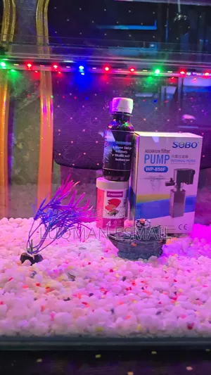 24_inch Aquarium for Sale