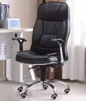 Classic Leather Chair/Office Chair