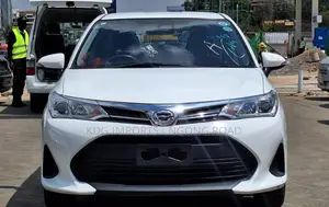 Toyota Corolla Fielder 2019