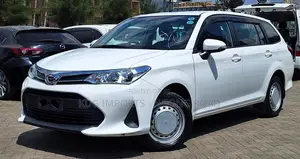 Toyota Corolla Fielder 2019