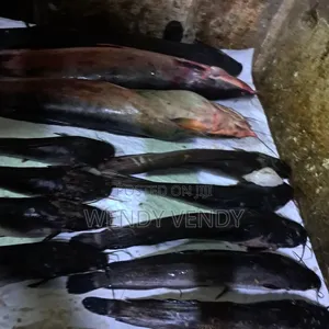 Fresh Organic Catfish
