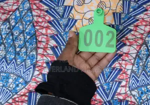 Numbered Cattle Ear Tag