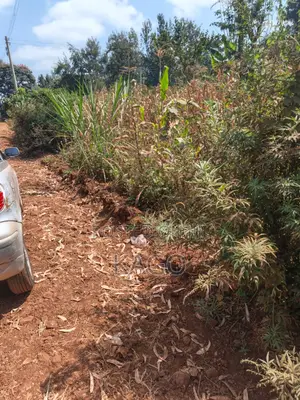 Quarter Acre at Mang U Gatundu North