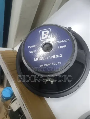 BM Audio 12bm-2 12" Professional Naked Speaker
