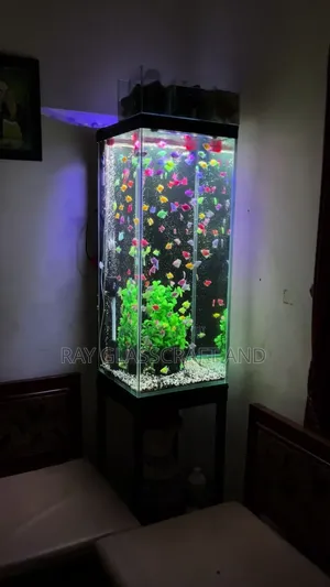 Glass Aquarium