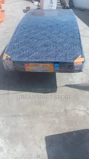 Quilted Morning Glory Mattresses 6 Inches, 3 by 6 Foam