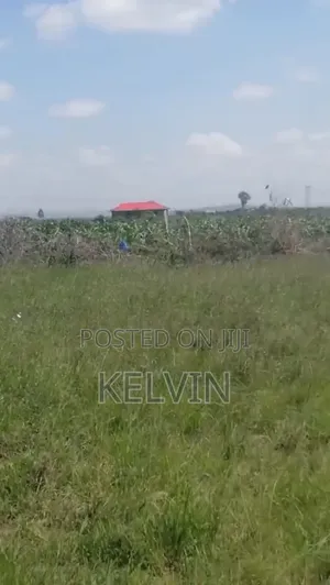 50x100 Plot in Juja