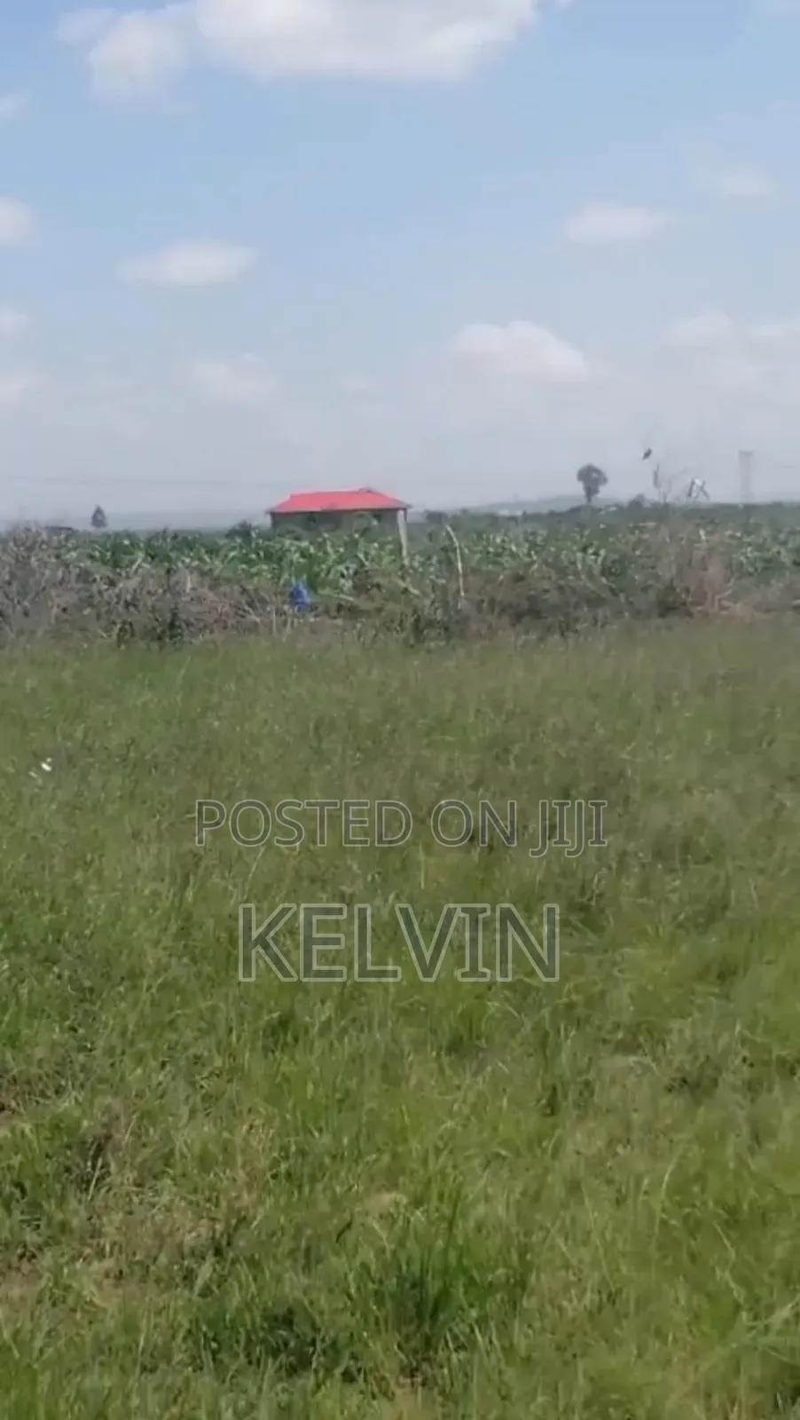 50x100 Plot in Juja