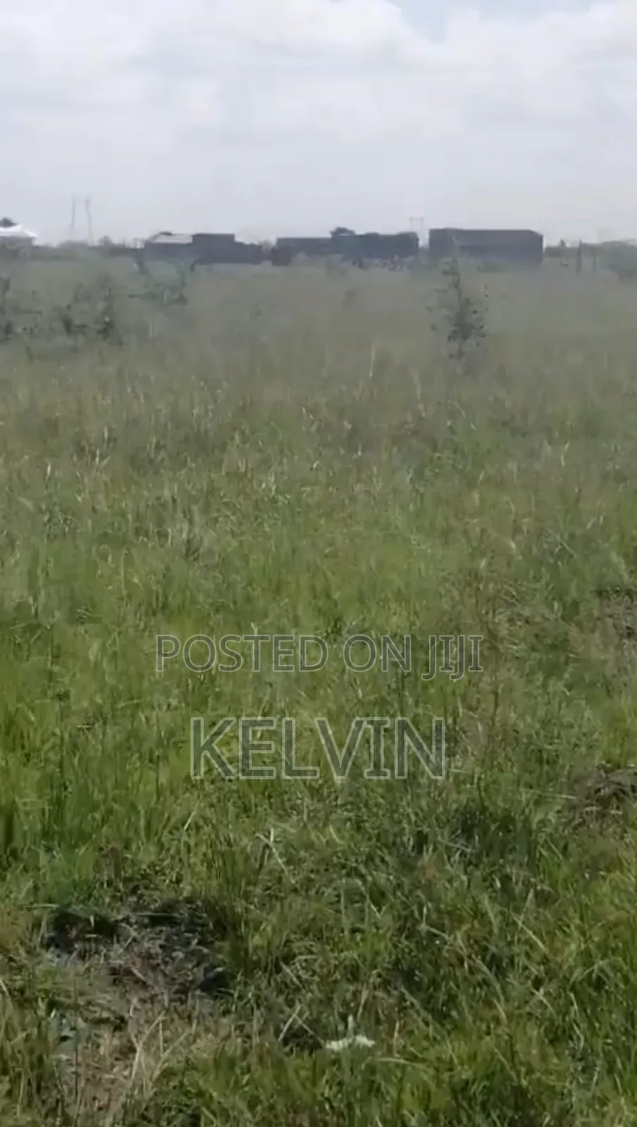 50x100 Plot in Juja