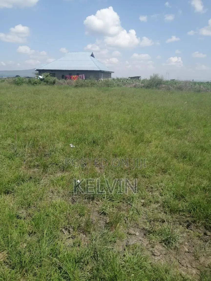 50x100 Plot in Juja