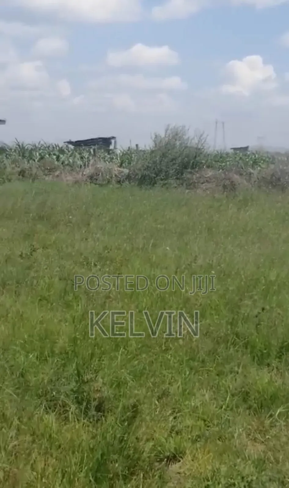 50x100 Plot in Juja