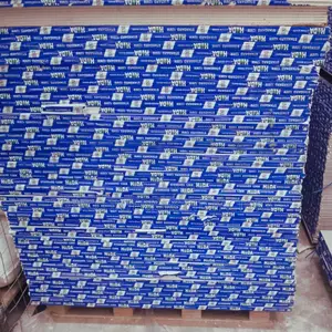 HADA Gypsum Boards 12MM