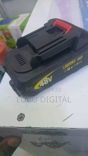 48V Lithium Ion Battery