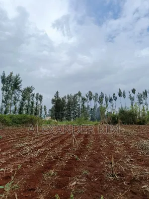 Ruiru-Githunguri Rd 1/2 Acre Residential Plot