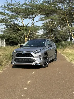 Toyota RAV4 Hybrid 2019 Silver